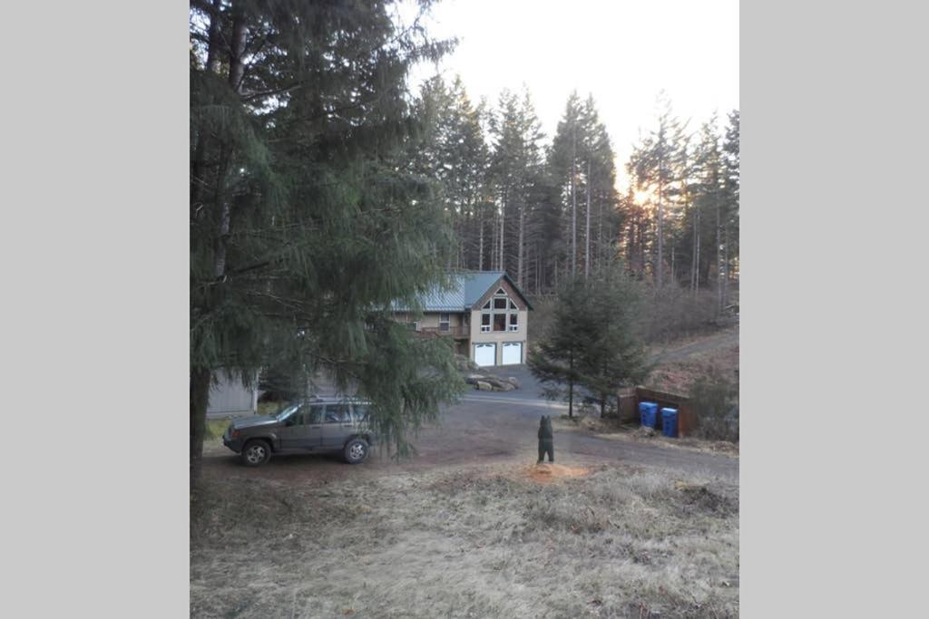 Mountainside Chalet - Tiny Home Packwood Esterno foto