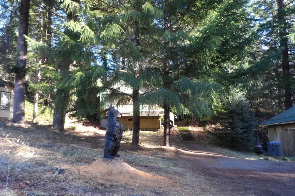 Mountainside Chalet - Tiny Home Packwood Esterno foto