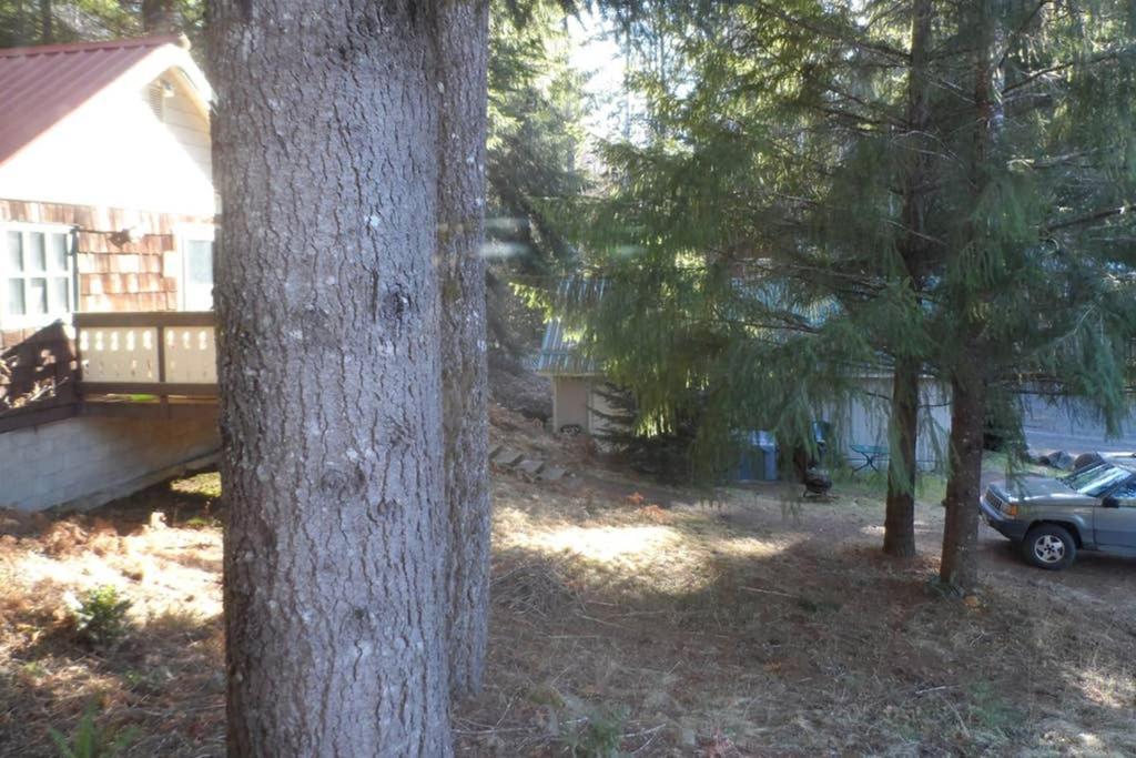 Mountainside Chalet - Tiny Home Packwood Esterno foto